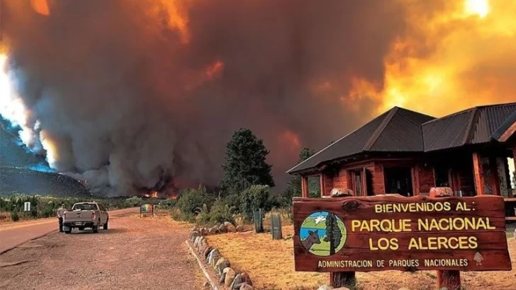 Chubut: el incendio forestal en el Parque Nacional Los Alerces “está fuera de control”