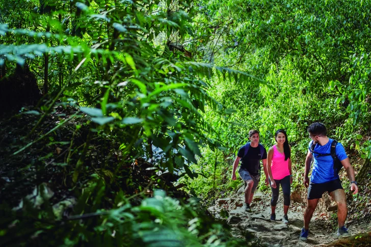 yungas-728x485 yungas-728x485