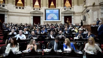 Ley Ómnibus: Diputados aprobó facultades delegadas