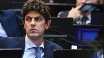 Lousteau presentó un proyecto para que los senadores ganen lo mismo que un director de escuela primaria