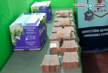 La Policía secuestró más de $20 millones en un control