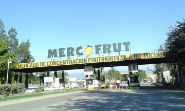 Conflicto en el Mercofrut: fleteros y cafeteros reclaman garantías laborales