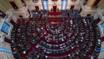 Diputados tratará en sesión especial la emergencia presupuestaria de las universidades Diputados tratará en sesión especial la emergencia presupuestaria de las universidades
