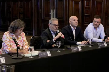 Dengue: el Gobierno reunió a todos los ministros de Salud y coincidieron en que aún se desconoce la eficacia de la vacuna