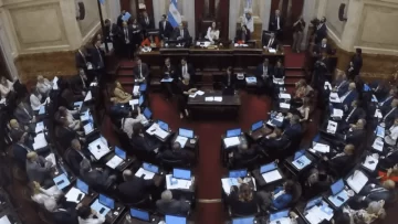 DNU: el oficialismo pidió postergar el tratamiento pero el Senado lo rechazó