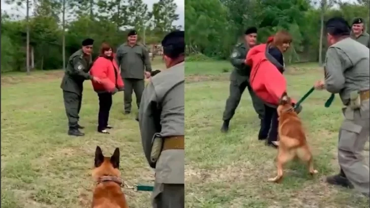 El video viral de Patricia Bullrich “atacada” por un perro de seguridad