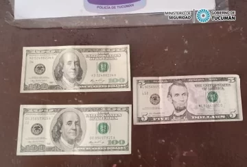 240419113515_99693-728x493