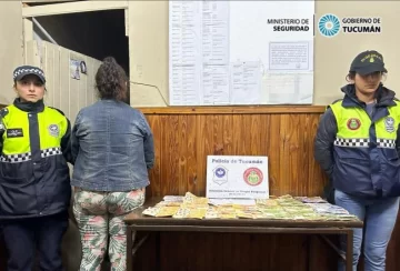 Detuvieron a una dealer que vendía drogas en una esquina de “El Bajo” Detuvieron a una dealer que vendía drogas en una esquina de “El Bajo”