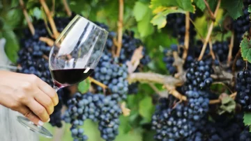 WhatsApp-Image-2024-04-03-at-11.17.17-2-728x410