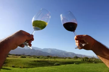 Vinos y paisajes deslumbrantes: el maridaje perfecto para tomarte unos días en el valle