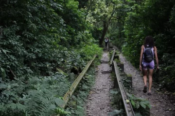 WhatsApp-Image-2024-04-05-at-14.11.10-2-728x485