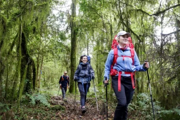 Los senderos de Tucumán te invitan a hacer deporte y sumergirte en paisajes impresionantes