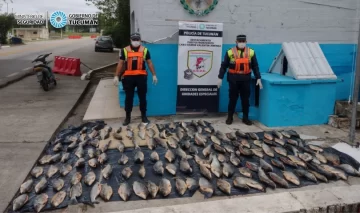 La policía incautó un cargamento de 300 kg de sábalo valuado en $1.500.000 La policía incautó un cargamento de 300 kg de sábalo valuado en $1.500.000