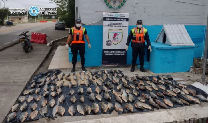 La policía incautó un cargamento de 300 kg de sábalo valuado en $1.500.000 La policía incautó un cargamento de 300 kg de sábalo valuado en $1.500.000