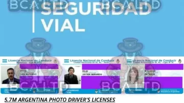 Robaron casi 6 millones de imágenes de licencias de conducir: las venden y suben una muestra con el registro de Javier Milei