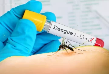 Confirmaron el fallecimiento de tres personas por Dengue en Tucumán