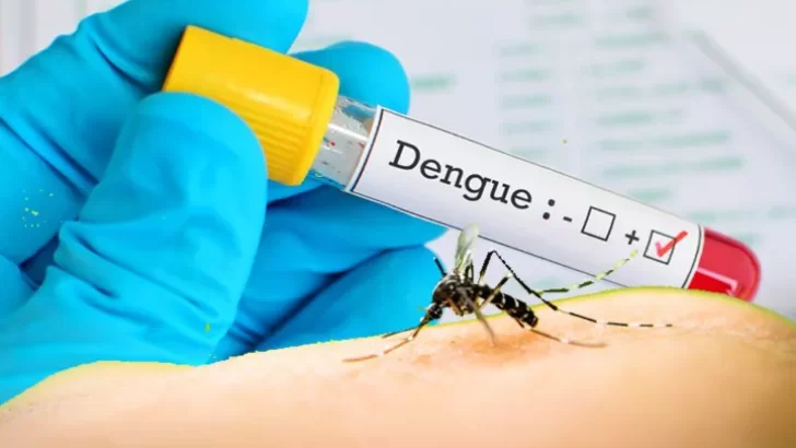 Alerta por casos de dengue: las autoridades sanitarias intensifican medidas preventivas