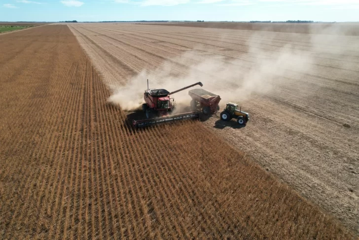 Retraso en la cosecha: el campo afectado por las lluvias