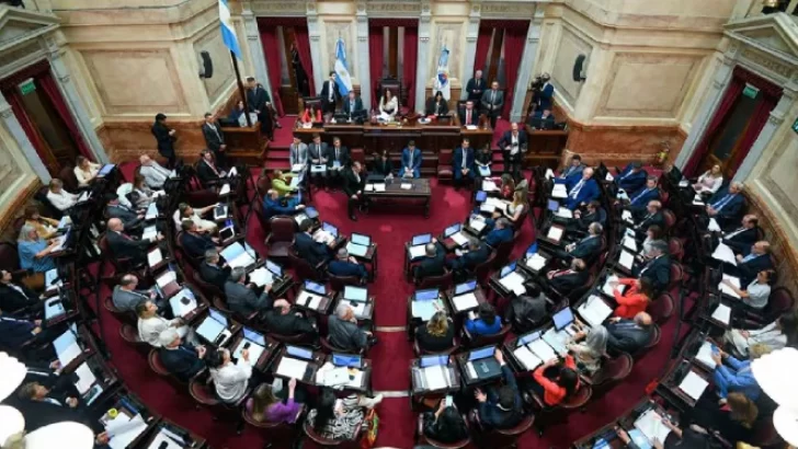 El Gobierno prevé cambios en Ley Bases en el Senado