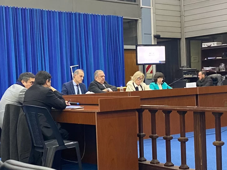 La Cámara Federal de Buenos Aires ordenó investigar al directorio de YMAD