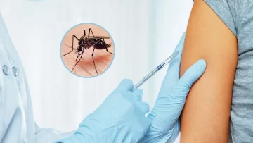 El Ministerio de Salud definió una estrategia nacional contra el dengue