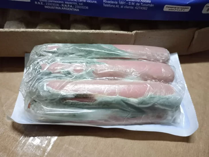 multimedia.normal.b649fbdfb240315a.ODA2MzY4ZTctZjQ5OS00NjIxLTljYTktYzNmNGRlOGVfbm9ybWFsLndlYnA-728x548