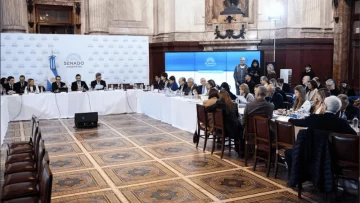 Ley Bases: el oficialismo no consiguió dictamen de comisión y se dilata el debate en el Senado