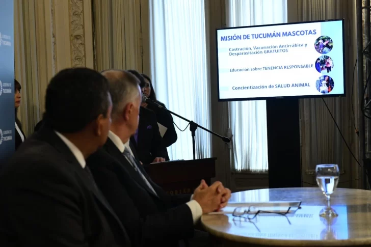 240611114401_43741-728x485