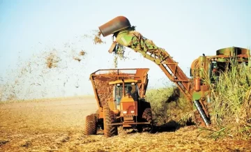 FOTIA advirtió que el bajo precio del azúcar podría complicar el pago de los sueldos FOTIA advirtió que el bajo precio del azúcar podría complicar el pago de los sueldos