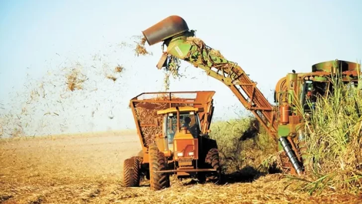Zafra en riesgo: amenaza de paro latente por falta de acuerdo salarial