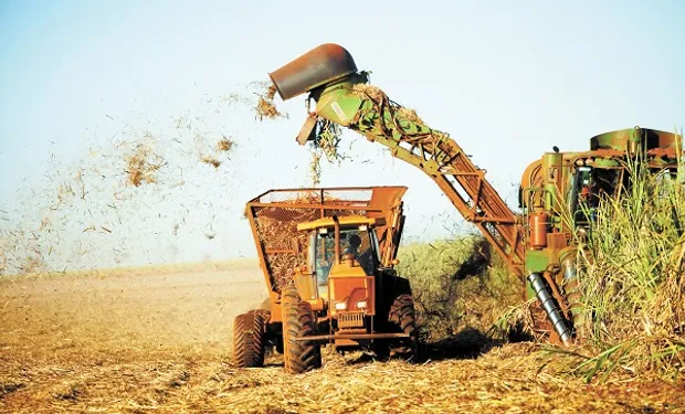 FOTIA advirtió que el bajo precio del azúcar podría complicar el pago de los sueldos FOTIA advirtió que el bajo precio del azúcar podría complicar el pago de los sueldos