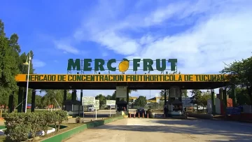 Mercofrut: caída de precios y consumo golpea al corazón del mercado
