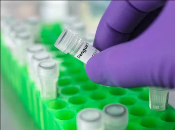 Hace tres semanas que en Tucumán nadie se contagia de Dengue Hace tres semanas que en Tucumán nadie se contagia de Dengue