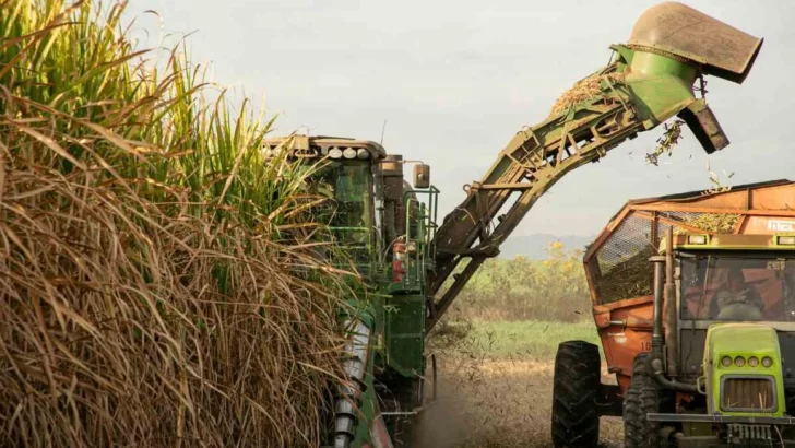 La actividad económica creció en mayo y dejó atrás seis meses de caída consecutiva