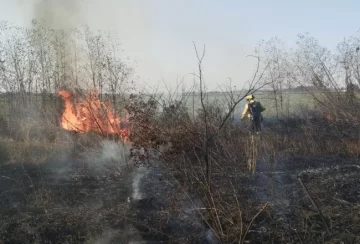 Defensa Civil trabaja sobre 8 denuncias de quemas Defensa Civil trabaja sobre 8 denuncias de quemas