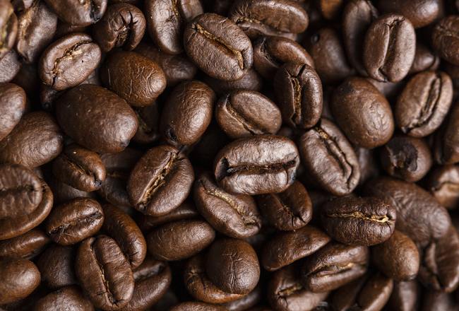 Día Internacional del Café: el IDEP impulsa el cultivo en Tucumán para fortalecer la diversidad productiva Día Internacional del Café: el IDEP impulsa el cultivo en Tucumán para fortalecer la diversidad productiva