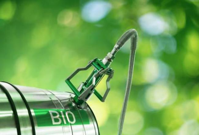 Anuncian un nuevo precio para el bioetanol de caña de azúcar Anuncian un nuevo precio para el bioetanol de caña de azúcar