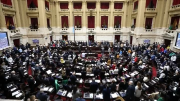 Diputados comenzó a tratar el proyecto de Ficha Limpia