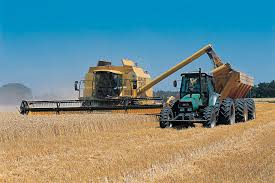 El sector agroindustrial exportó por US$ 9.637 millones en 2024, un 26% más que en 2023