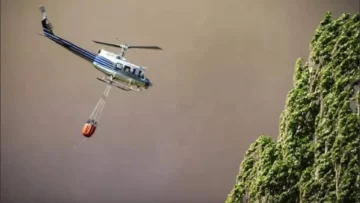 Crecen los incendios forestales en Neuquén: llegaron más bomberos y hay personas evacuadas Crecen los incendios forestales en Neuquén: llegaron más bomberos y hay personas evacuadas