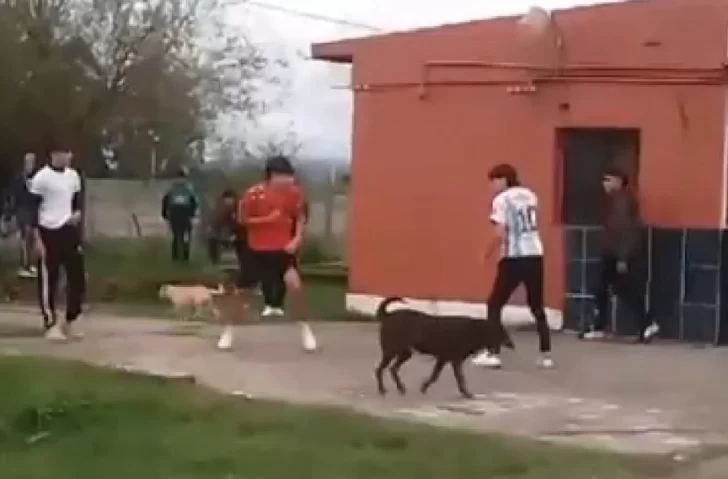 Captura-de-pantalla-2025-03-26-200700-728x479