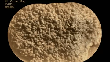 El rover Perseverance de la Nasa descubrió una extraña roca con esferas en Marte