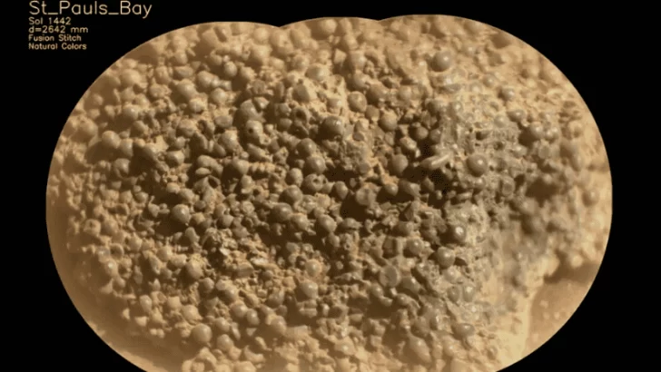 El rover Perseverance de la Nasa descubrió una extraña roca con esferas en Marte