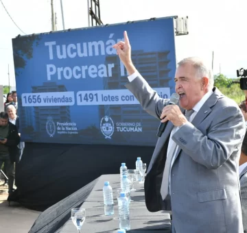 250401105831_82517-728x688