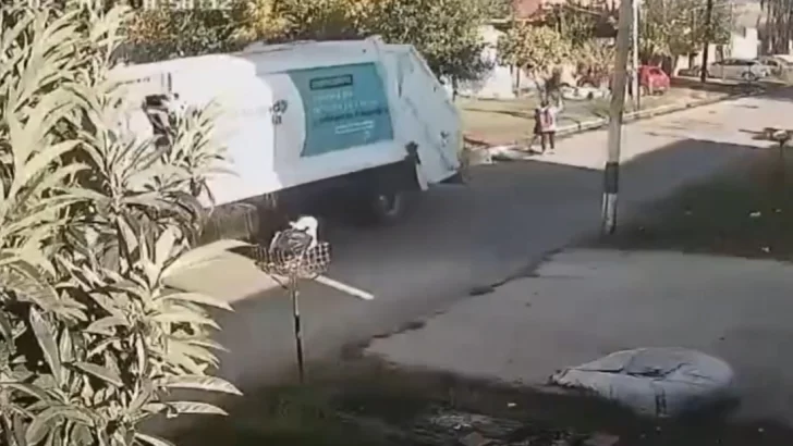 El conductor que atropelló y mató a una barrendera en La Plata quedó preso