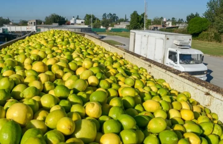 Levantaron el paro de transportistas de cosecheros del limón tras la mediación del Gobierno