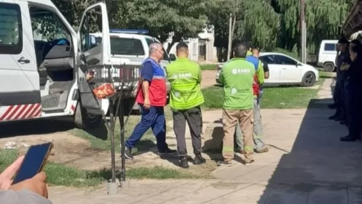 Un niño de 12 años mató a su padrastro porque golpeaba a su madre