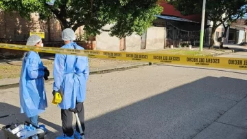 0ca04663-e687-4523-82da-414d99806f27-728x409