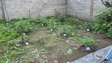 3a0fa832-a9e0-4034-892b-6e47b1a546ea-728x410