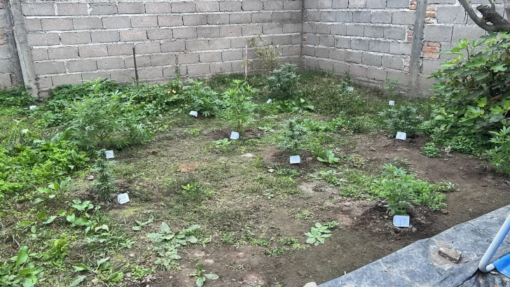 3a0fa832-a9e0-4034-892b-6e47b1a546ea-728x410